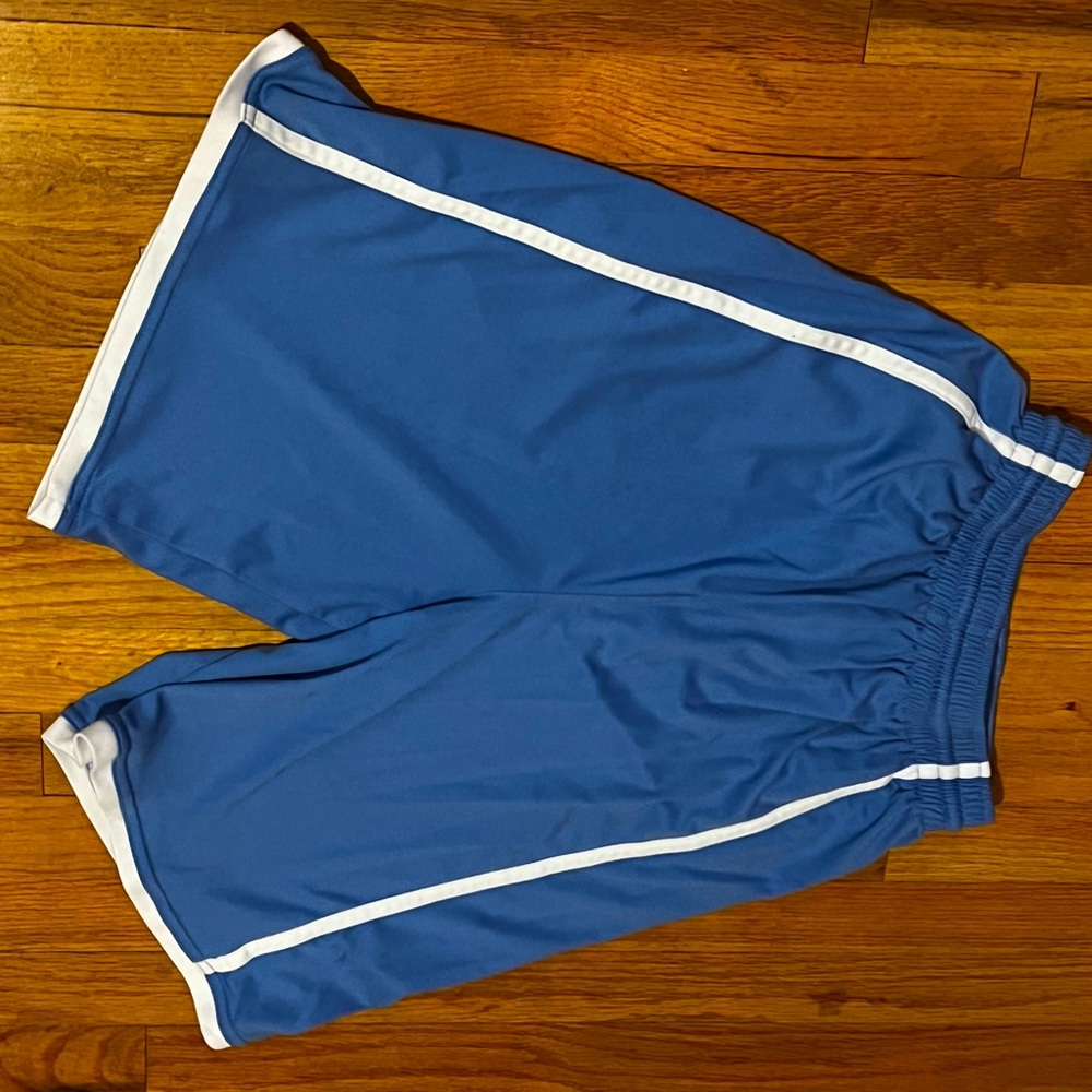 Blue Alleson shorts, size small